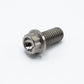 12 Point Flange Bolt M10x1.5x20